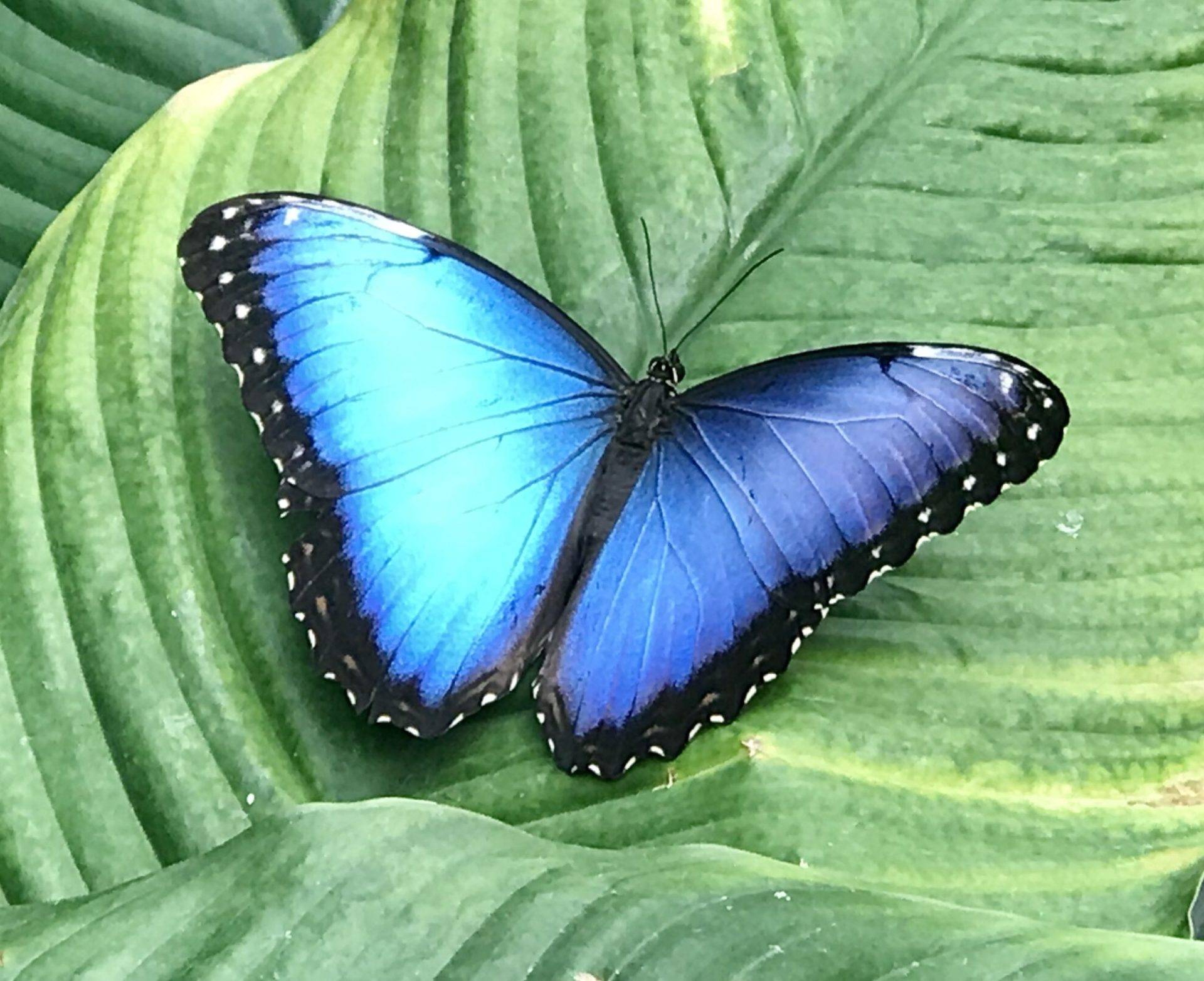 4AD09C76 D18D 42CB 8DEC 8F32B2C6A8E3 scaled