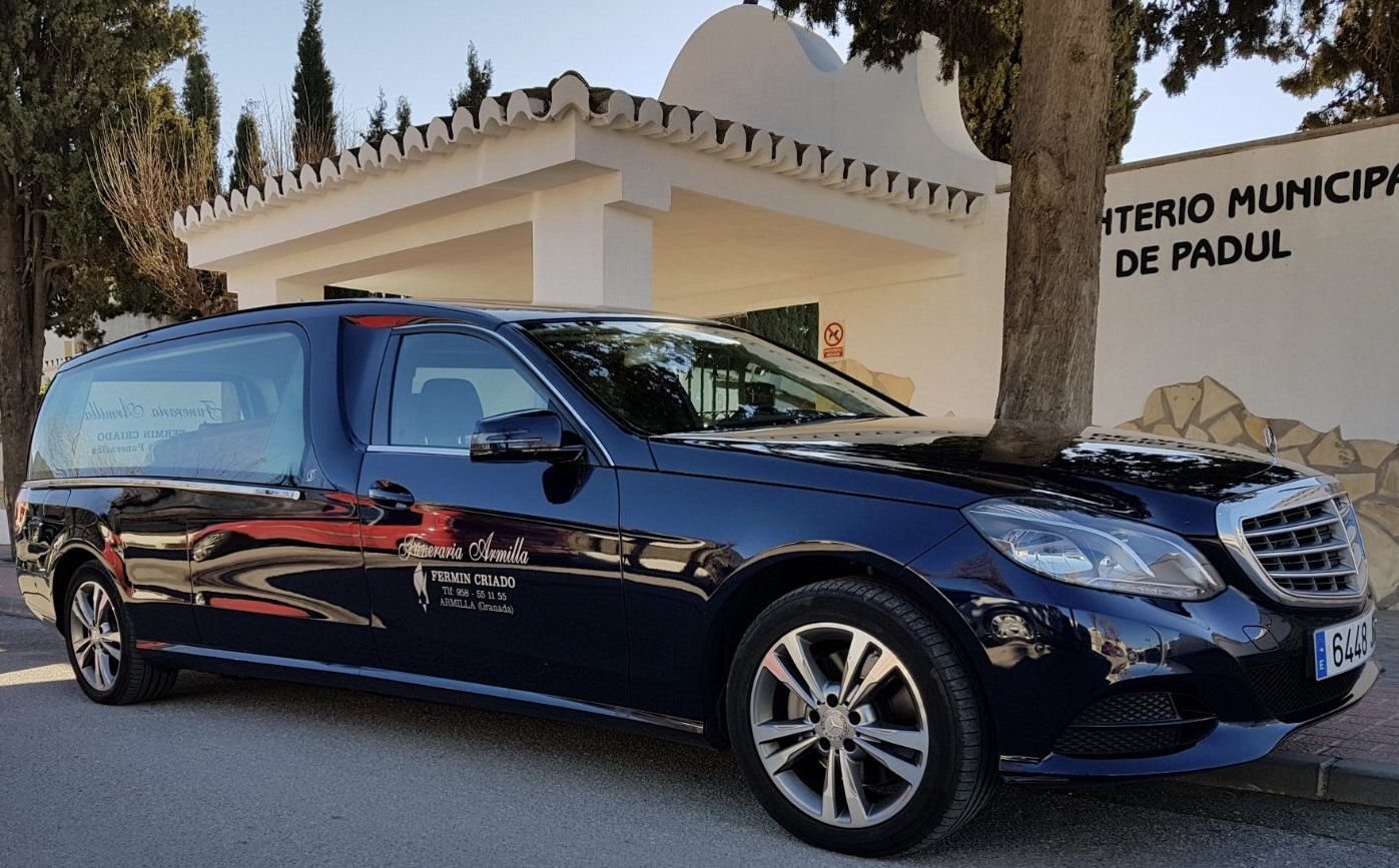 617FC6FB 1A46 48D7 9E25 FAFFC9D4E463